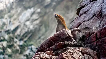 Zagadki cywilizacji