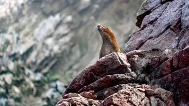 Zagadki cywilizacji