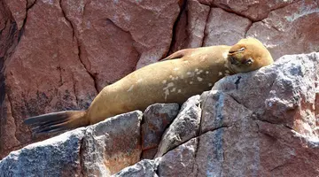 Zagadki cywilizacji