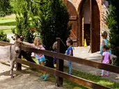 Zalesie Mazury Active Spa