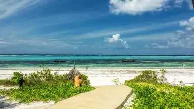 Zanzibar Queen