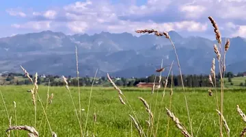 Zapotoczny Residence