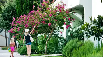 ZATON HOLIDAY RESORT 3***