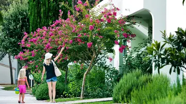 ZATON HOLIDAY RESORT 3***