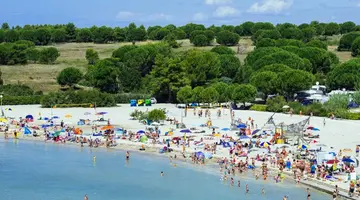 Zaton Holiday Resort - Apartments