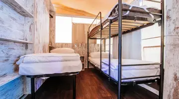 Zaton Holiday Resort - Mobile Homes