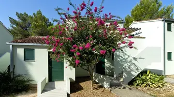 ZATON HOLIDAY RESORT