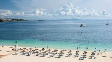 ZEL MALLORCA (ADULTS RECOMMENDED)