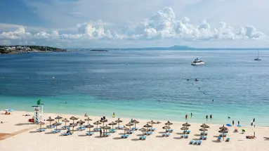 ZEL MALLORCA (ADULTS RECOMMENDED)