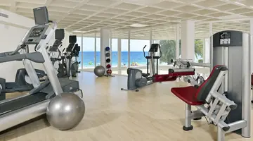 ZEL MALLORCA (ADULTS RECOMMENDED)