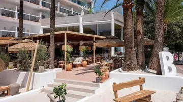 ZEL MALLORCA (ADULTS RECOMMENDED)
