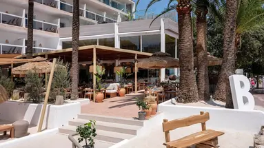 ZEL MALLORCA (ADULTS RECOMMENDED)