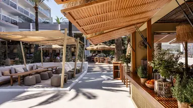 ZEL MALLORCA (ADULTS RECOMMENDED)