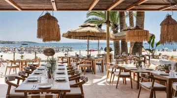 ZEL MALLORCA (ADULTS RECOMMENDED)