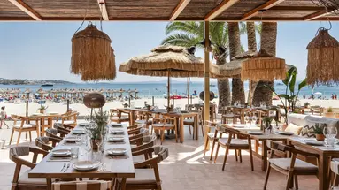 ZEL MALLORCA (ADULTS RECOMMENDED)