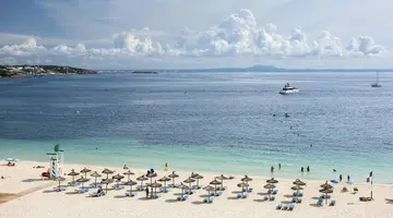 Zel Mallorca