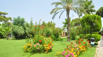 ZENA RESORT HOTEL