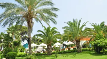 ZENA RESORT HOTEL