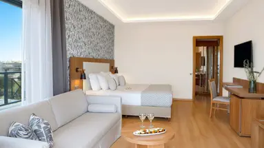 Zeus Essence Ramada Athens