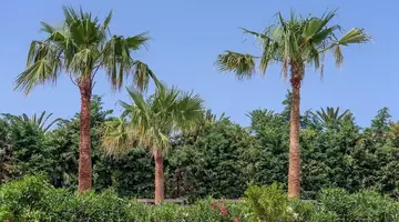 Zeus Hotels YDORIA RESORT - All Inclusiv