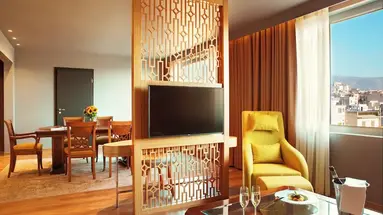 Zeus Wyndham Grand Athens