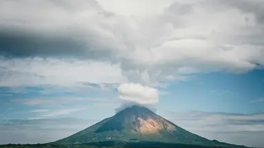 Zielone Serce Ameryki Środkowej