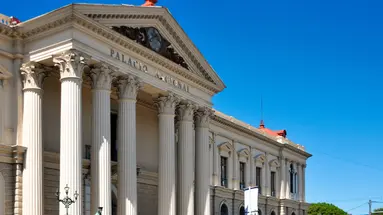 Zielone serce tropików