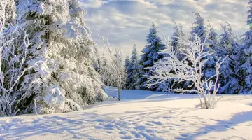 Zimowa magia Alp: Sylwester w Val di Sole i Bernina Express