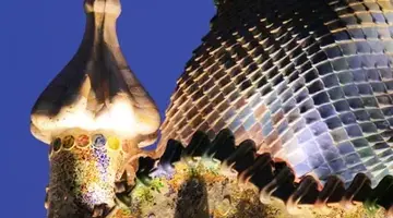 Zimowa Magia Barcelony - 8 dni (samolotem z Wrocławia)