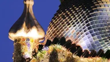 Zimowa Magia Barcelony - 8 dni (samolotem z Wrocławia)