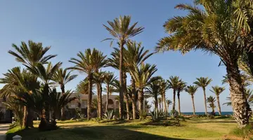 Zita Beach Resort