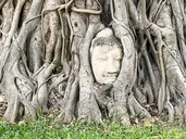 Złoty Budda i Rajskie Plaże