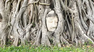 Złoty Budda i Rajskie Plaże