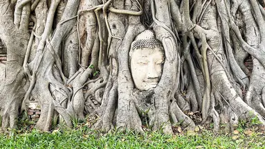 Złoty Budda i Rajskie Plaże