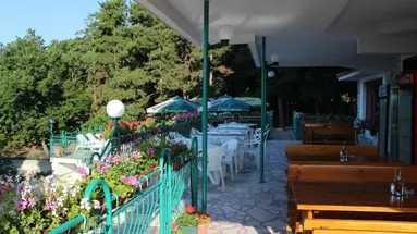 Zora (Sunny Beach)