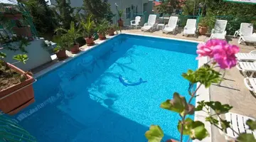 Zora (Sunny Beach)
