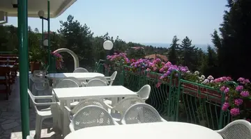 Zora