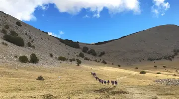 Żywioły Sycylii: Aktywne Odkrywanie Natury